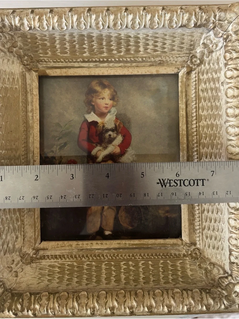 Vintage Lithograph Prints